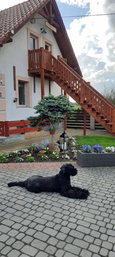 Liwa Garden Krzywa 11 Apartman Kültér fotó