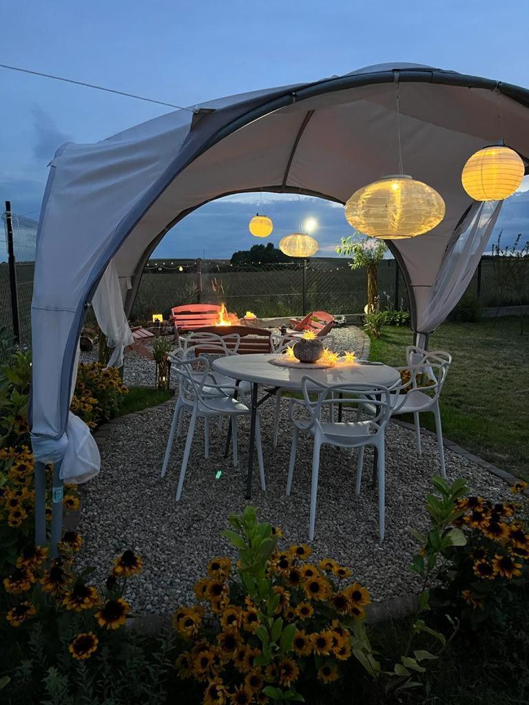 Liwa Garden Krzywa 11 Apartman Kültér fotó