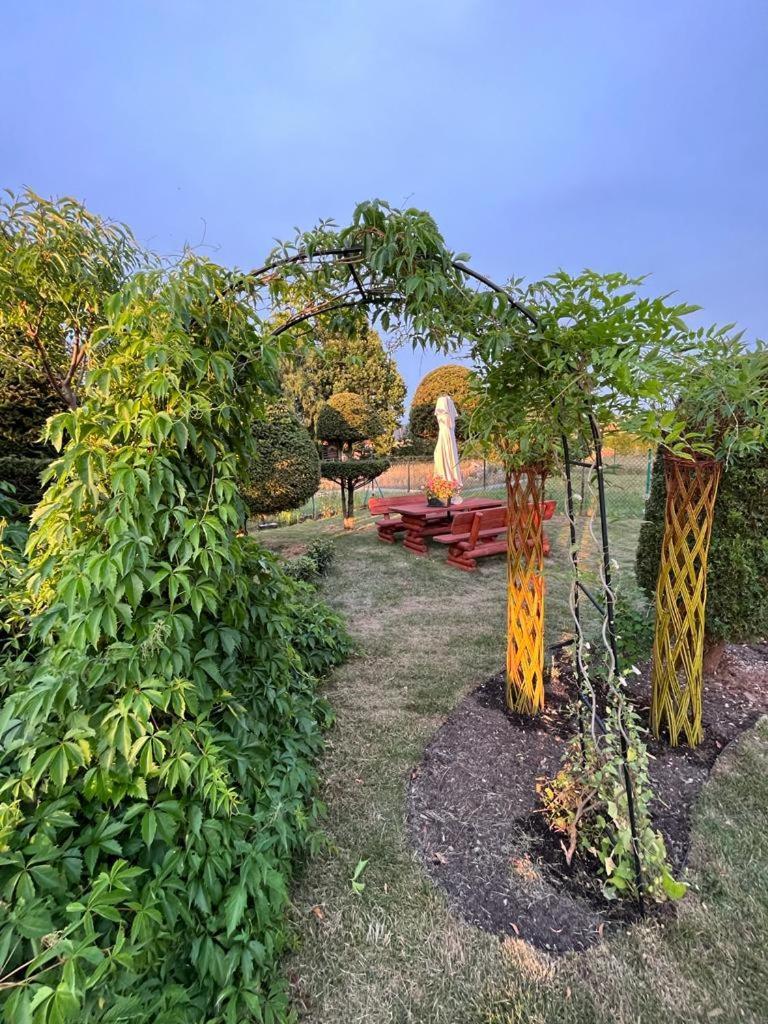 Liwa Garden Krzywa 11 Apartman Kültér fotó