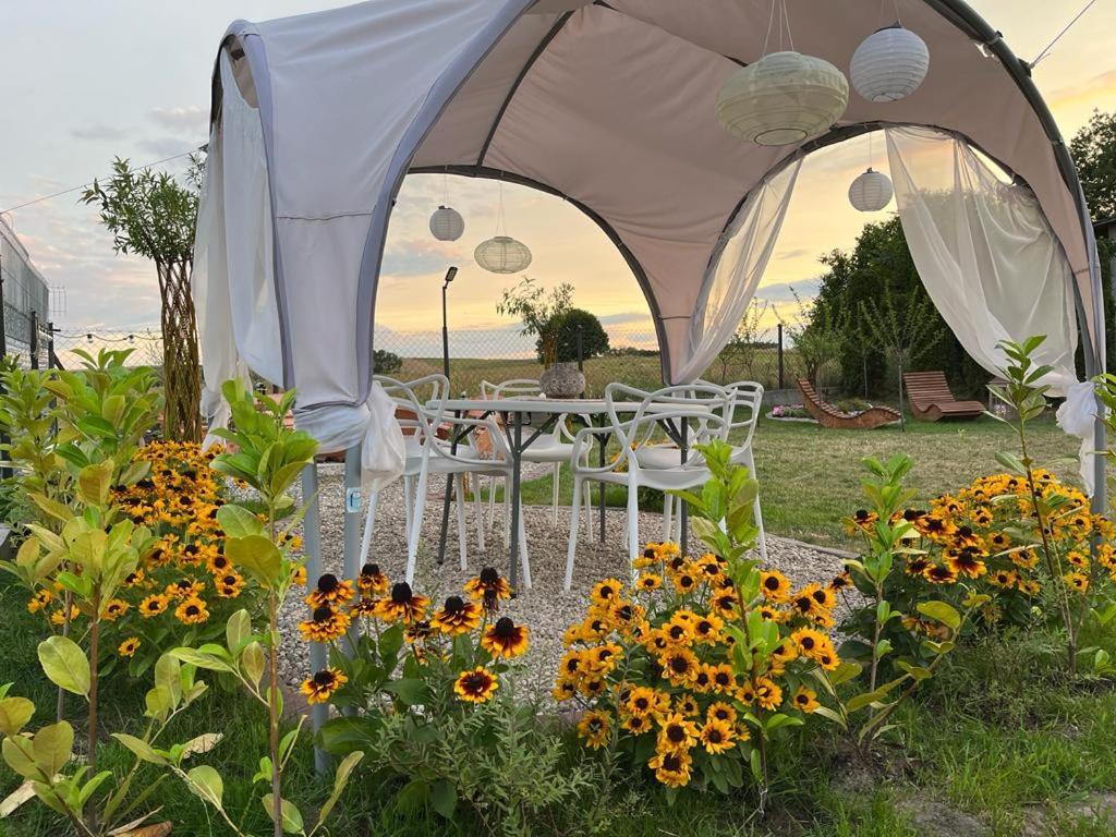 Liwa Garden Krzywa 11 Apartman Kültér fotó